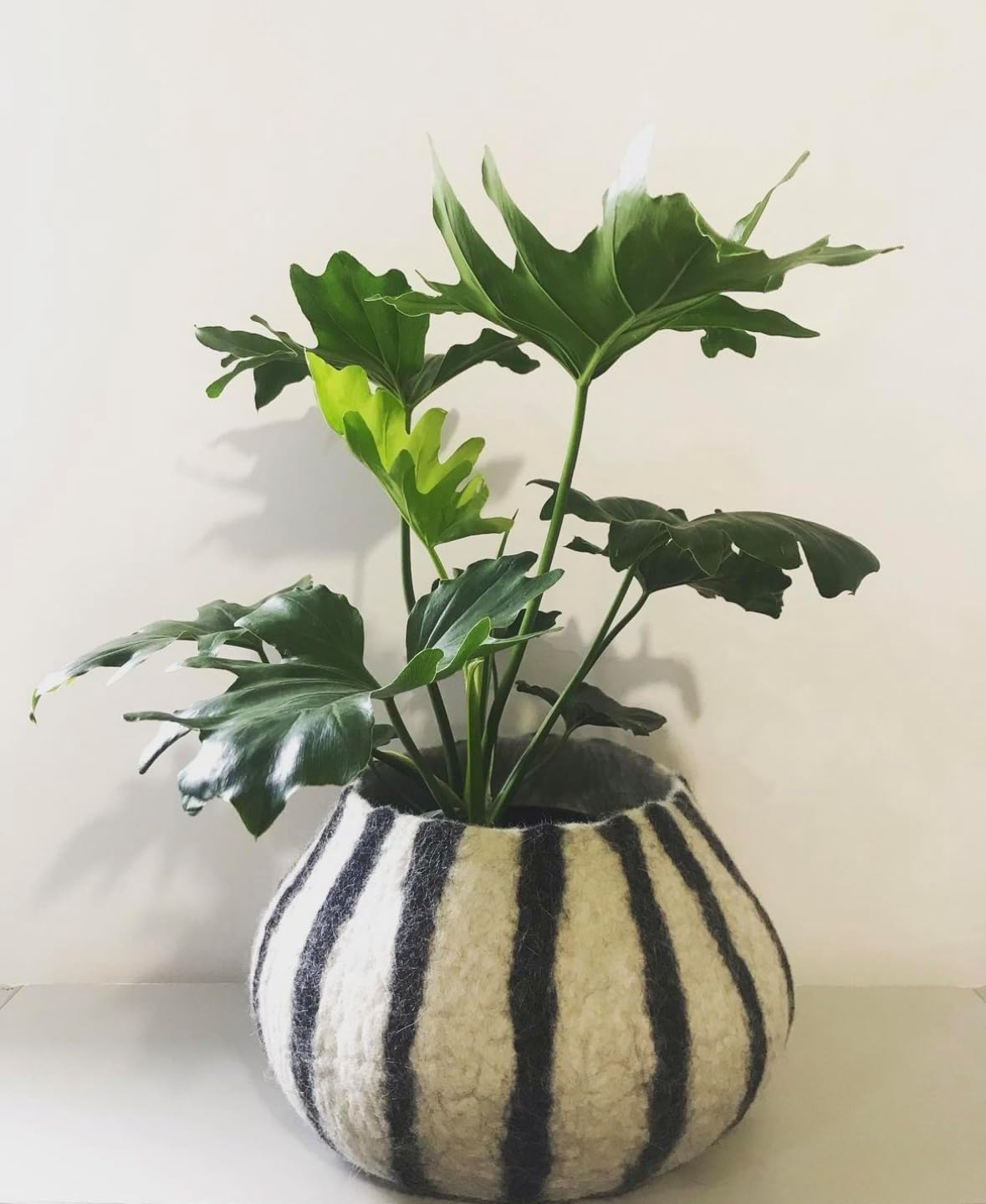 Minimalist Eco-Friendly Home Decor Set